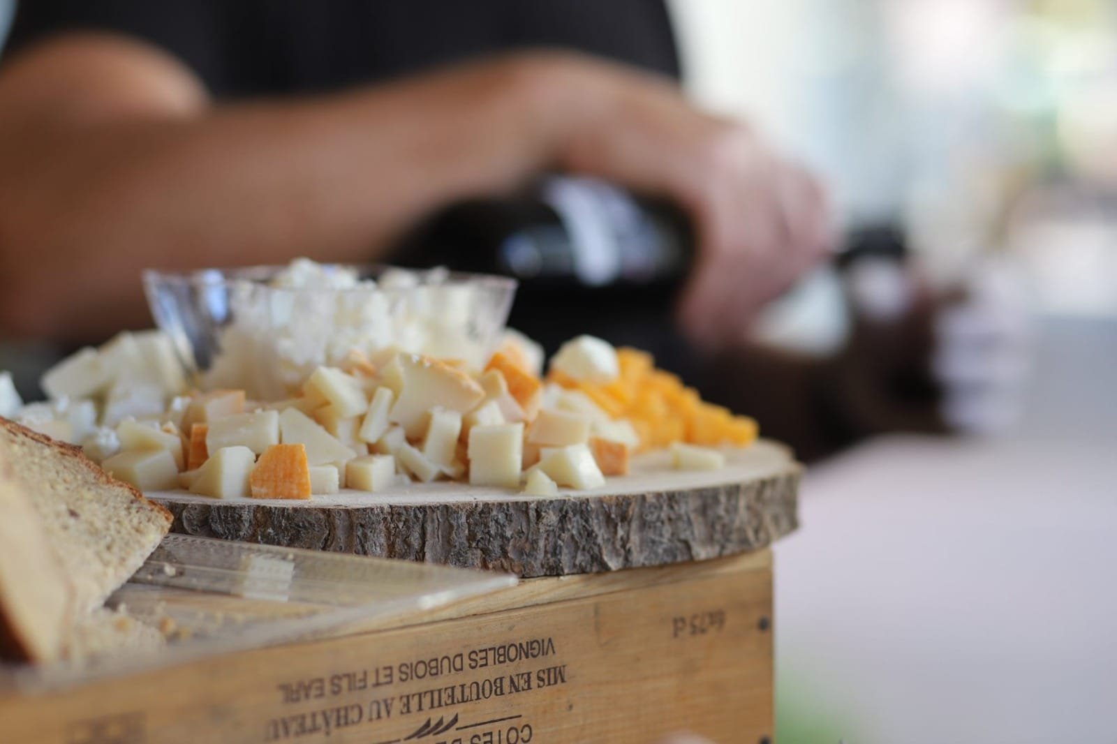 צילום יפעת קלמר