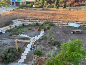 סערה בכיכר המושבה: חברי מועצה ניסו לבלום גן ילדים פעיל וגינה קהילתית – ונסוגו תחת לחץ ציבורי