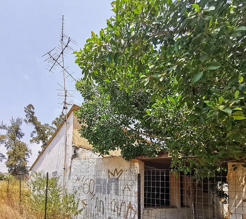 חשד לכלבת או להרעלה: שלושה פגרי תנים אותרו במתחם בית הנערה בהוד השרון