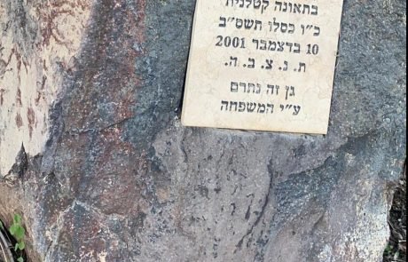 על תבונה ורגישות