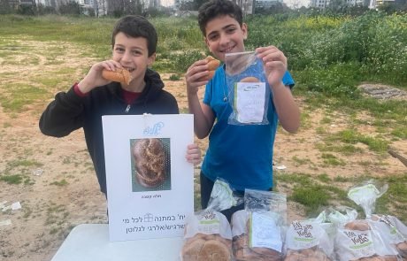 הכלה חברתית