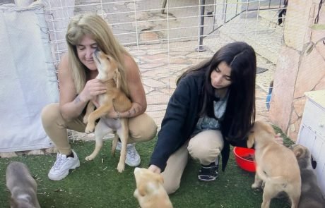 "למה הגורים צריכים לסבול?"