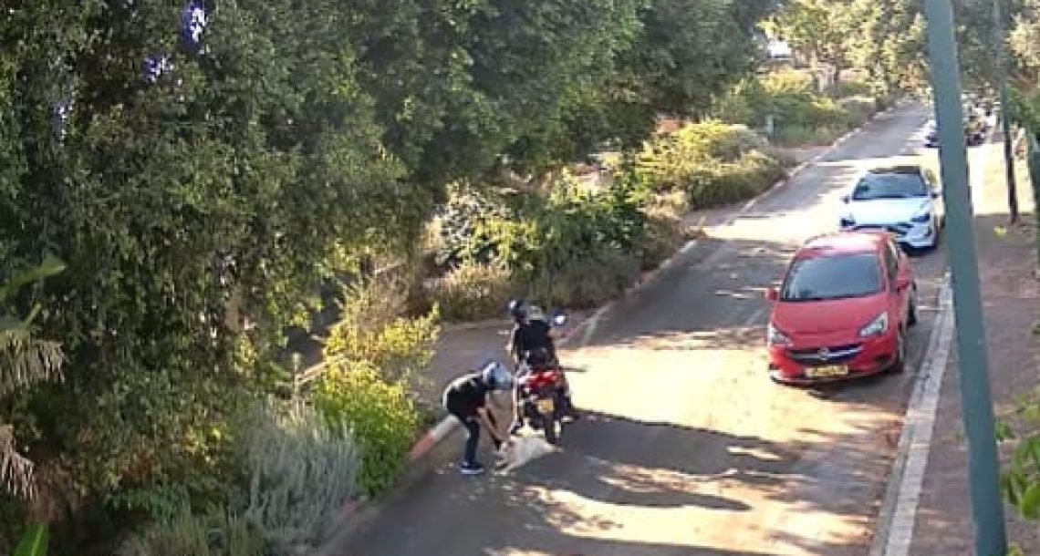 כלב נגנב מפתח הבית בהוד השרון לעיני המצלמות – המשפחה בהלם