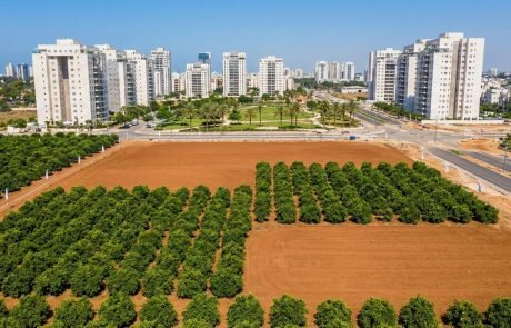 העיר שמשנה את פניה: ההזדמנות האחרונה לתפוס חלק מהוד השרון של מחר