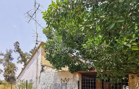 חשד לכלבת או להרעלה: שלושה פגרי תנים אותרו במתחם בית הנערה בהוד השרון