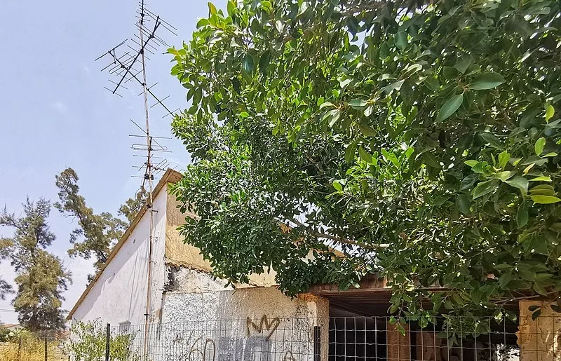 חשד לכלבת או להרעלה: שלושה פגרי תנים אותרו במתחם בית הנערה בהוד השרון