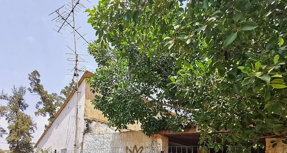 חשד לכלבת או להרעלה: שלושה פגרי תנים אותרו במתחם בית הנערה בהוד השרון